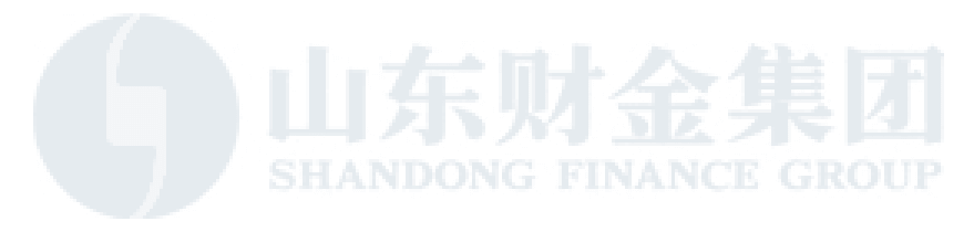 山东财金